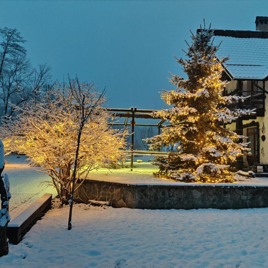 Pensiunea Doina Vadu Izei Exterior photo